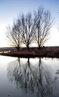 Reflection in water in Spain