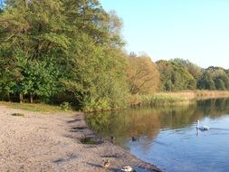 landscape of Autumnal lake