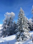 winter cold landscape of Switzerland