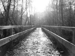 black and white picture of a bridge