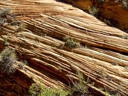 rock erosion in the zion national park