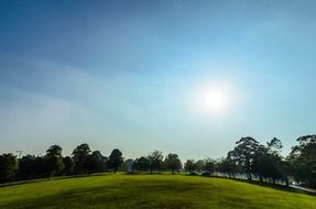 Sunny landscape in spring