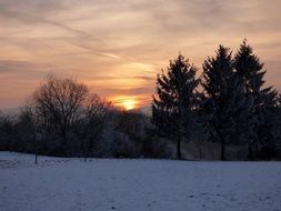 orange sunset in the winter forest