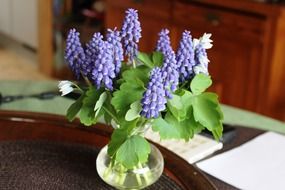 light purple flowers in a vase