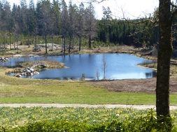 Beautiful lake among the green fields and trees