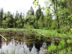 Bergsee as a natural lake