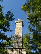 wonderful tower forest