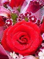 red rose as a decoration of a bouquet