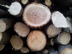logs for a fireplace