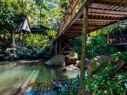 wooden bridge in the garden in thailand