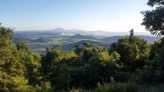 green rainforest in Australia