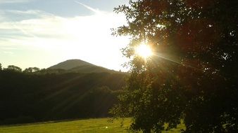 sun pasture landscape