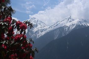 hiking trip to the mountains in Nepal