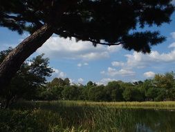 lake in seoul forest park