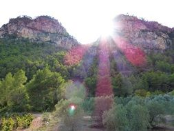pink rays of the sun through the mountains