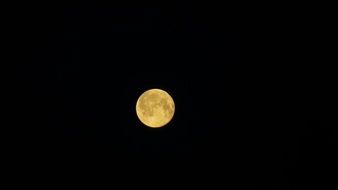 yellow full moon in black sky