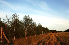 Landscape of Poland