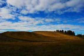 white clouds and blue sky over a rural golden field