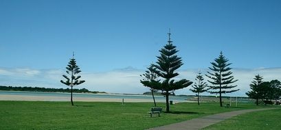 Lake iIlawarra embankment, Australia
