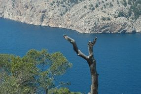 Landscape of Mallorca island