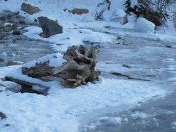 dry wood in frozen creek at bridal veil falls, usa, utah
