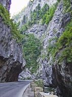 Canyon in Bicaz