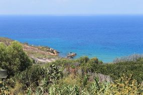 Mediterranean coast with green trees