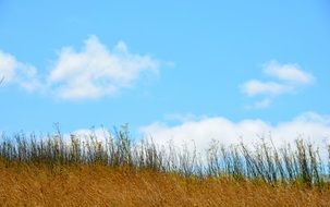 Golden grass sky clouds san francisco view