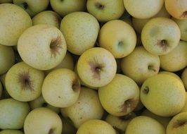 green apples fruits