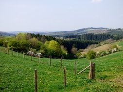 Landscape of the beautiful countryside with colorful plants in Luxembourg