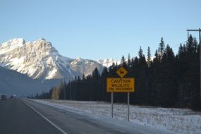 road near a mountain in canada