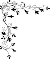 flower ornament on white background