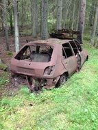 Skoda in the forest