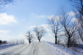 snowy road in the countryside