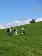 wanderers on a green meadow
