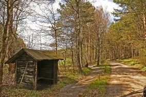 Landscape of the small hut in a forest