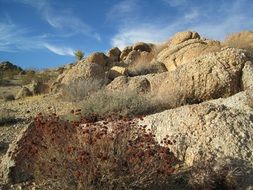 rocks in the National Park, Joshua Tree, USA