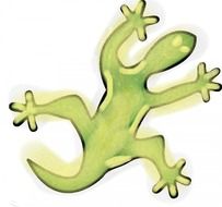 green lizard on white sheet
