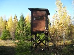 hunting tower in the autumn forest