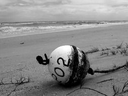 black-and-white image of a crab trap on the coast of Florida
