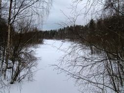 a frozen lake on a background of picturesque forest in Finland