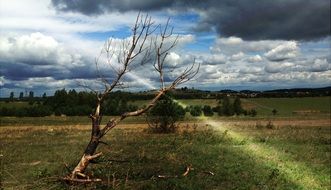 Landscape with Olkusz,Poland