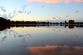Forest mirroring in water lake