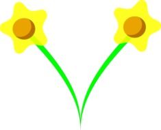 narcissus print