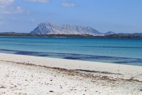 white sand on a beach on the island of Sardinia