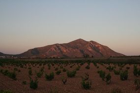 panorama of the steppe and mountains in Murcia, Spain