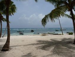 sandy beach on a tropical island