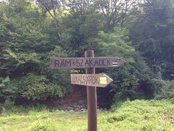 directional sign post in the forest