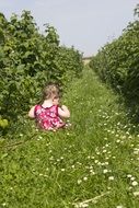 playing child in the green field