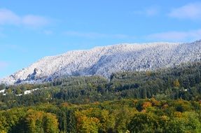 mountains in winter under blue sky